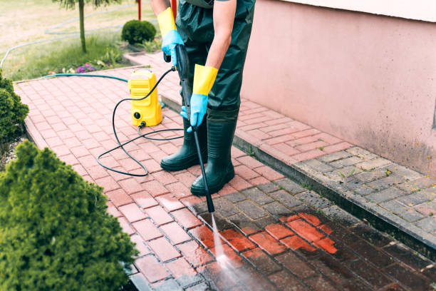 Animal Enclosure Cleaning in Miami, OK